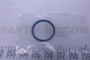 161750001R DICHTUNG