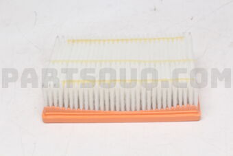 165463389R AIR FILTER