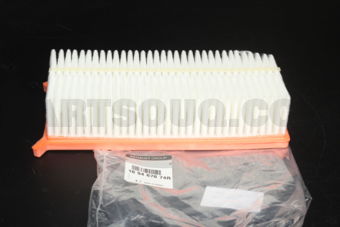 165467674R CRTG-AIR FILTER