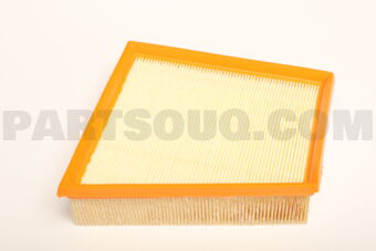 165467753R AIR FILTER