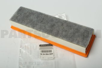 165469466R AIR FILTER