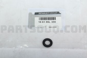 166185L300 O RING