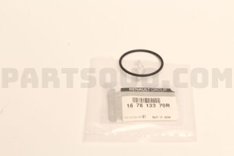 167813370R GSKTGAS PUMP