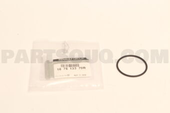 167813370R GSKTGAS PUMP