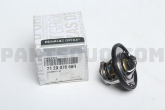212007668R THERMOSTAT