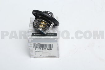 212007668R THERMOSTAT