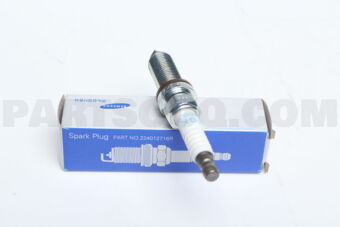 224012716R PLUG-SPARK
