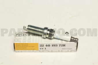 224019372R PLUG-SPARK