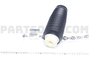 540505143R BUMPER BOUND