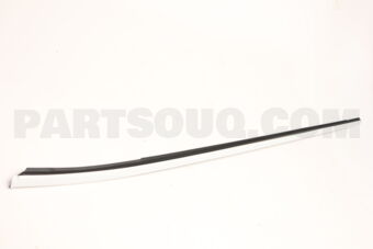 808212548R WSTRIP-FR LH WD