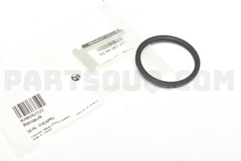 8200267272 SEAL THERMO