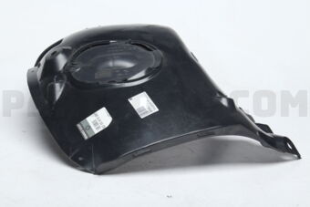 8200415287 PROTECTOR FR RH