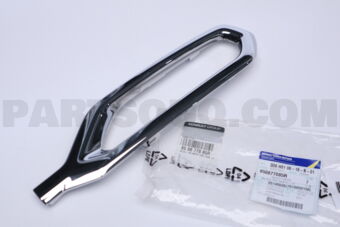 850877085R MLDG-RR BMPR LW