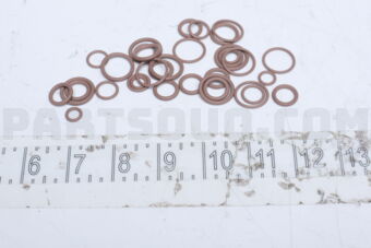 924750001R O-RING KIT AC