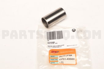 1323143G00 VALVE LIFTER  TD42