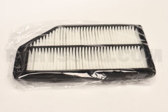 HDS9900613 AIR FILTER ODYSSEY [11-15]