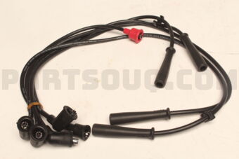 2245017G25 PLUG CORD SET