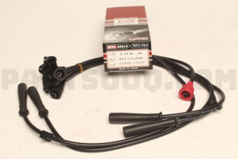 2245017G25 PLUG CORD SET