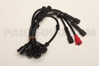 9091921363 PLUG CORD SET