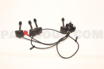 9091921576 PLUG CORD SET