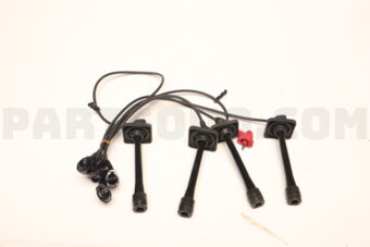 9091921576 PLUG CORD SET