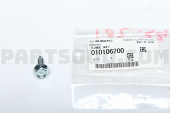 010106200 FLANGE BOLT