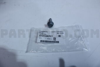 010108257 FLANGE BOLT