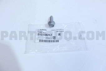 010108257 FLANGE BOLT