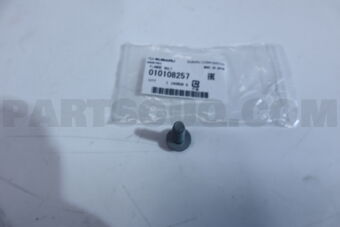 010108257 FLANGE BOLT