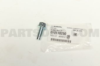 010110250 FLANGE BOLT,PLT