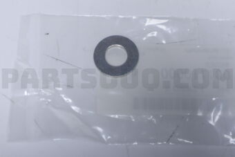 031110000 WASHER