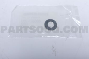 031110000 WASHER