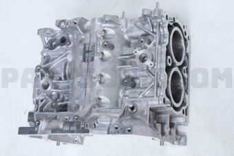 10103AC260 SHORT BLOCK ENG AY