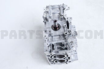 10103AC260 SHORT BLOCK ENG AY