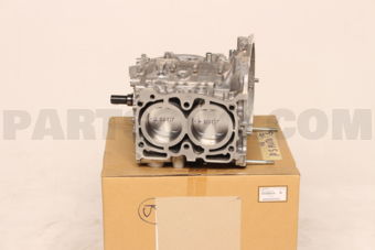 10103AC510 SHORT BLOCK ENG AY