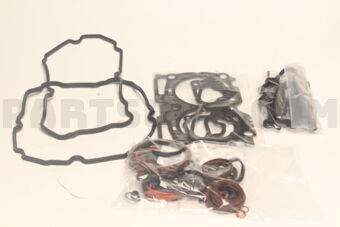 10105AC270 GSKT&amp;SEAL SET-ENG