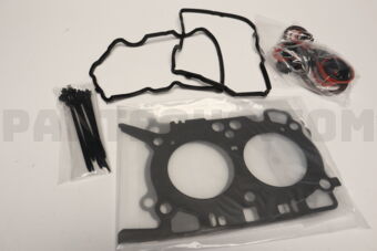 10105AC581 GSKT&amp;SEAL SET-ENG