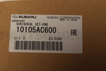 10105AC600 GSKT&amp;SEAL SET-ENG