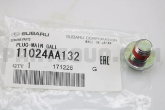 11024AA132 PLUG-MAIN GALL