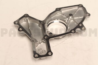 13118AA170 COVER-CHAIN