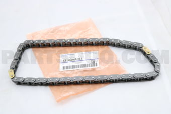 13143AA061 CHAIN-TIMING