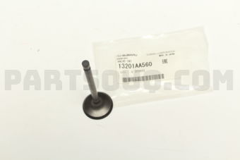 13201AA560 VALVE-INT