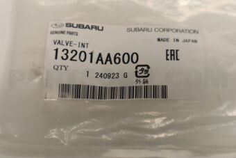 13201AA600 VALVE-INT