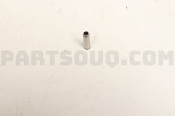 13212AA231 GUIDE-INT VALVE
