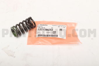 13217AA251 SPR-VALVE        EG