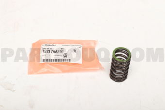13217AA251 SPR-VALVE        EG