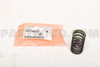 13217AA251 SPR-VALVE        EG