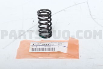 13217AA430 SPR-VALVE        EG