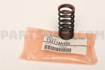 13217AA490 SPR-VALVE        EG
