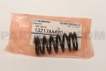 13217AA490 SPR-VALVE        EG